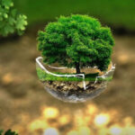 Environment-and-atmosphere