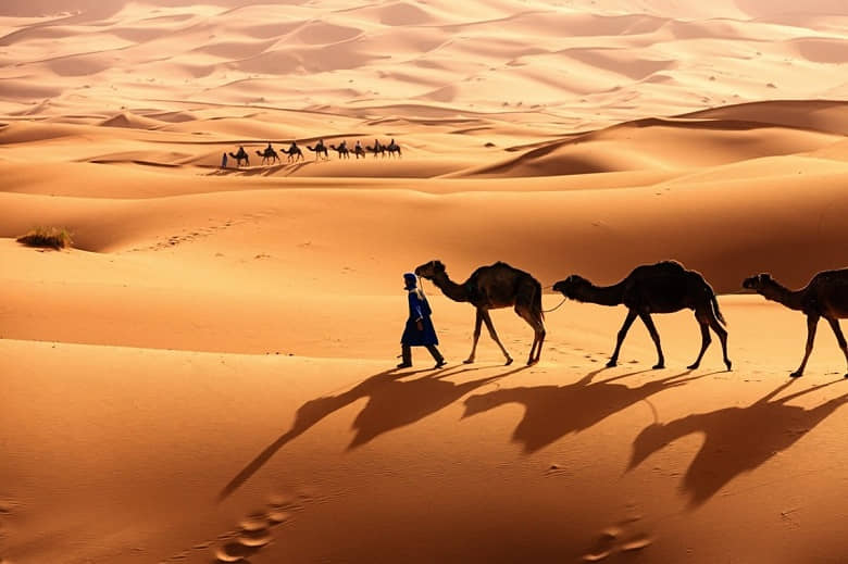 desert