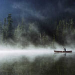 fog-mist