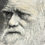 micro and macro evolution